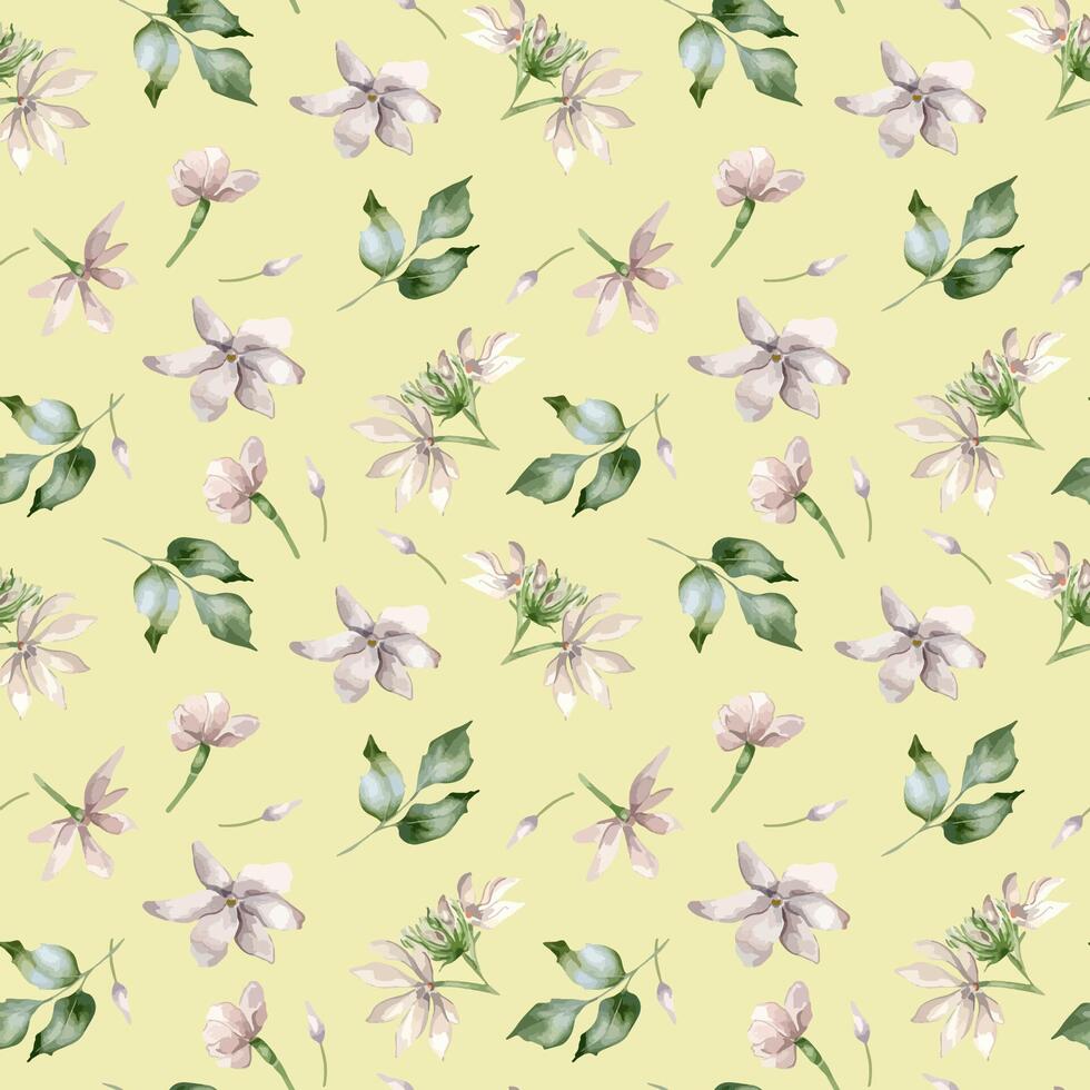 Jasmine flowers, buds, leaves watercolor seamless pattern isolated. Botanical blooms in pastel colors hand drawn on repeated texture. Floral background in pale tones for textile, package, wallpaper vector