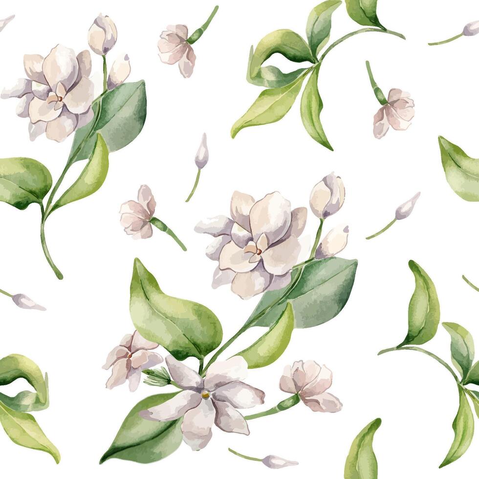 Jasmine bunch, buds, petals watercolor seamless pattern isolated. White flower botanical style hand drawn on repeating texture. Flowers of jasmine background for design textile, package, wrapping vector