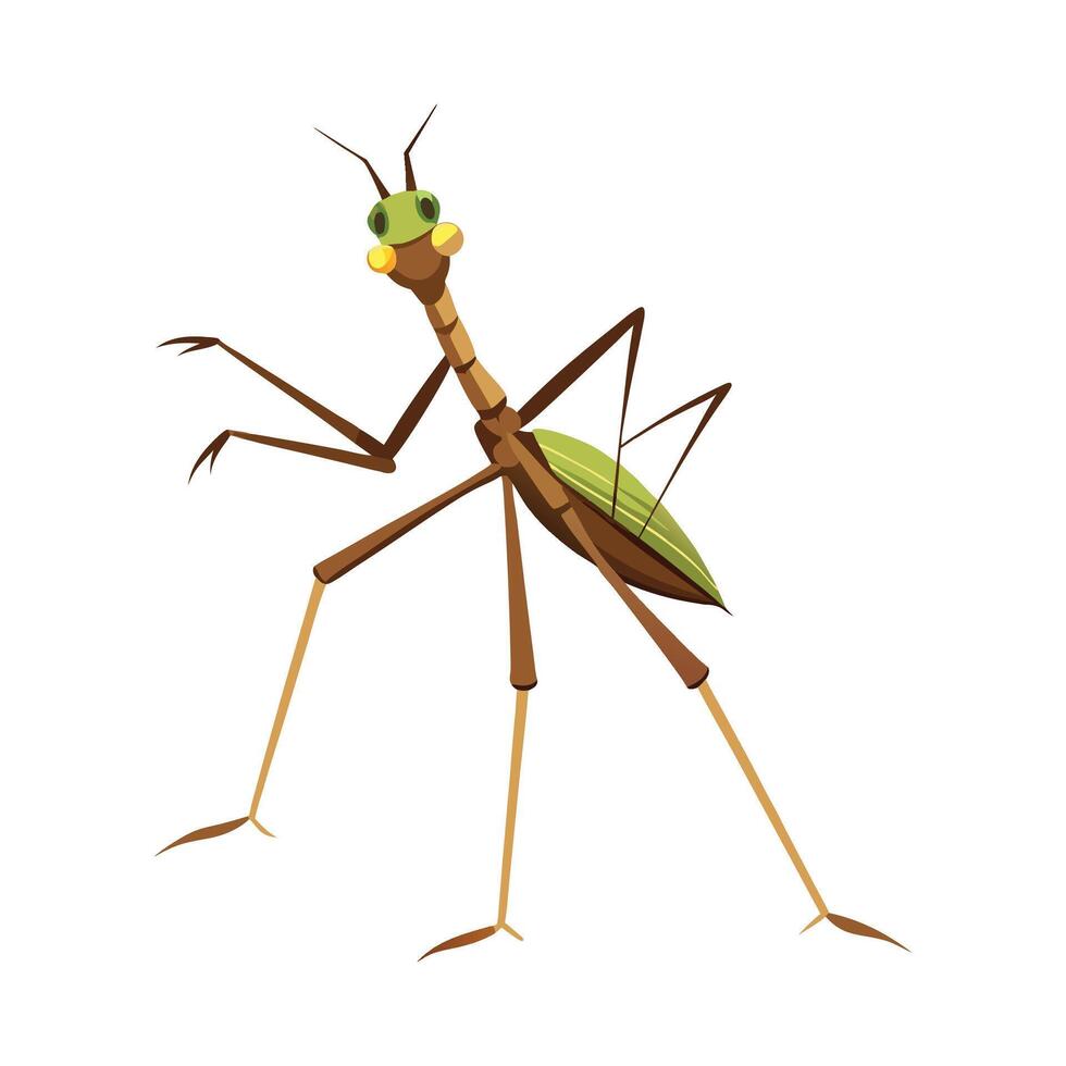 Realistic Walking Stick Insect on a Leaf vector