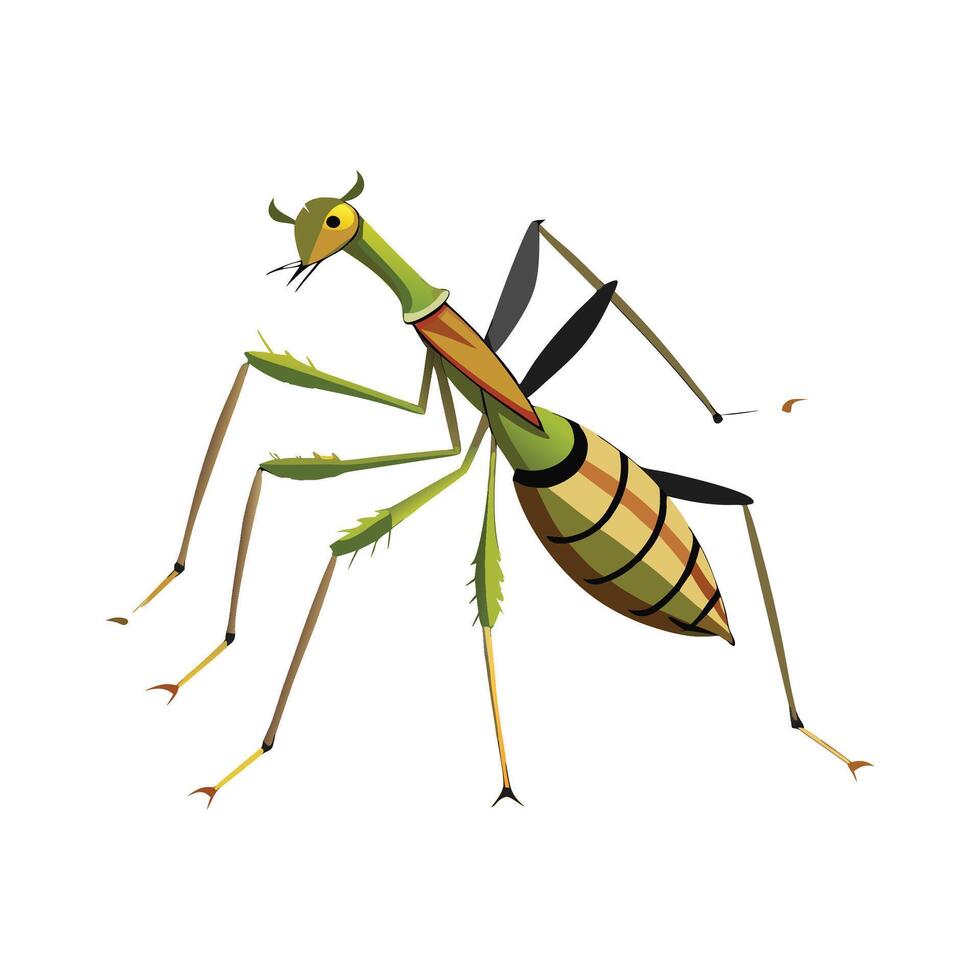 Friendly Walking Stick Insect on a Leaf vector
