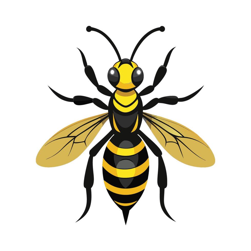 Fun Wasp Character for Learning vector