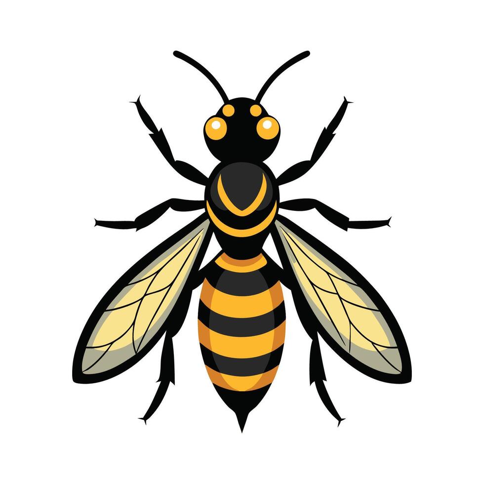 Stylized Wasp for Educational Use vector