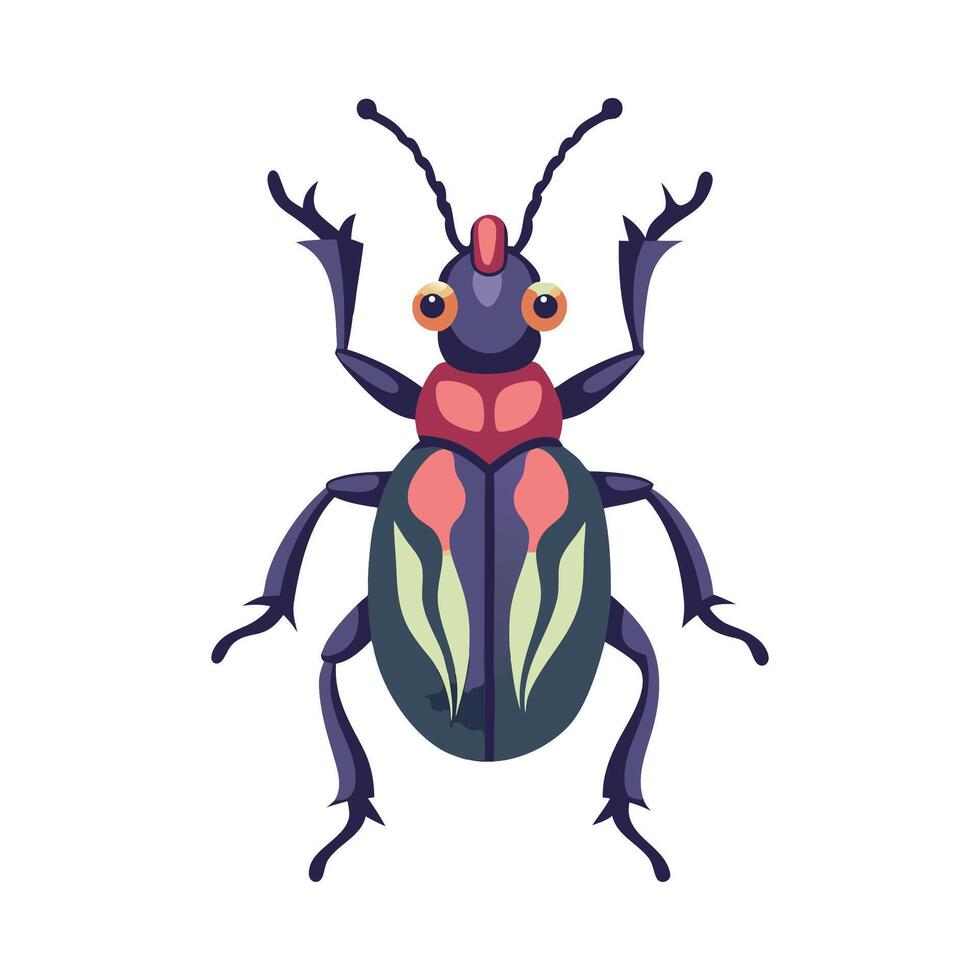 Charming Weevil for Educational Use vector