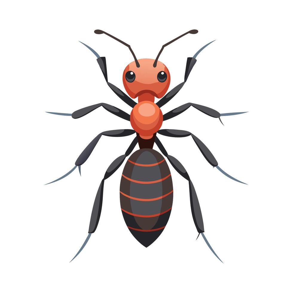 Detailed Illustration Of Ants For Learning vector