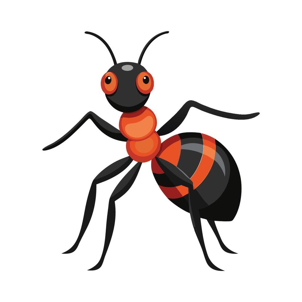 Illustrated Guide of Ant Species for Education vector