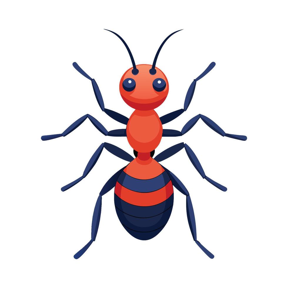 Illustration of Ants for Nature Studies vector