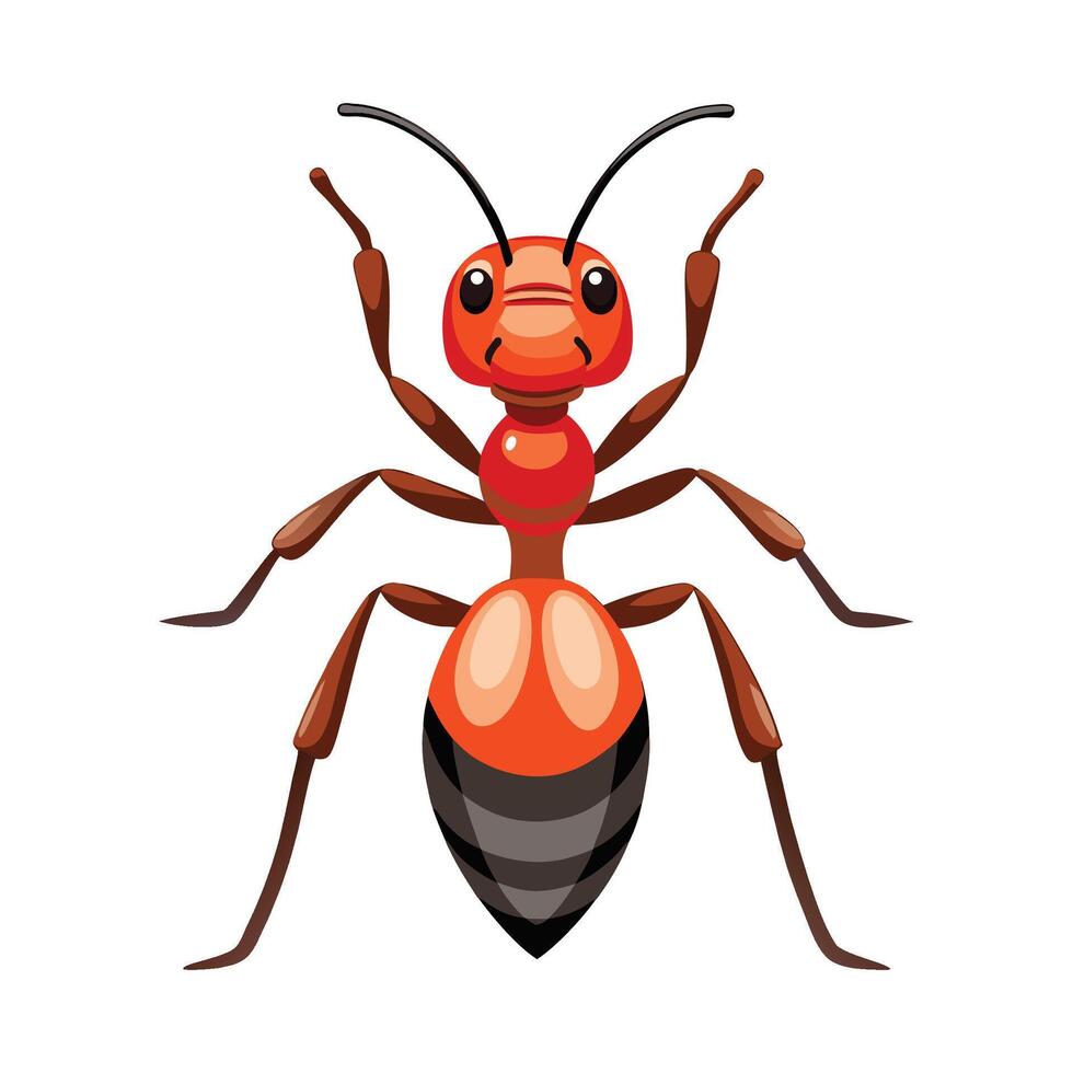 Ant Behavior and Species Illustrated Beautifully vector