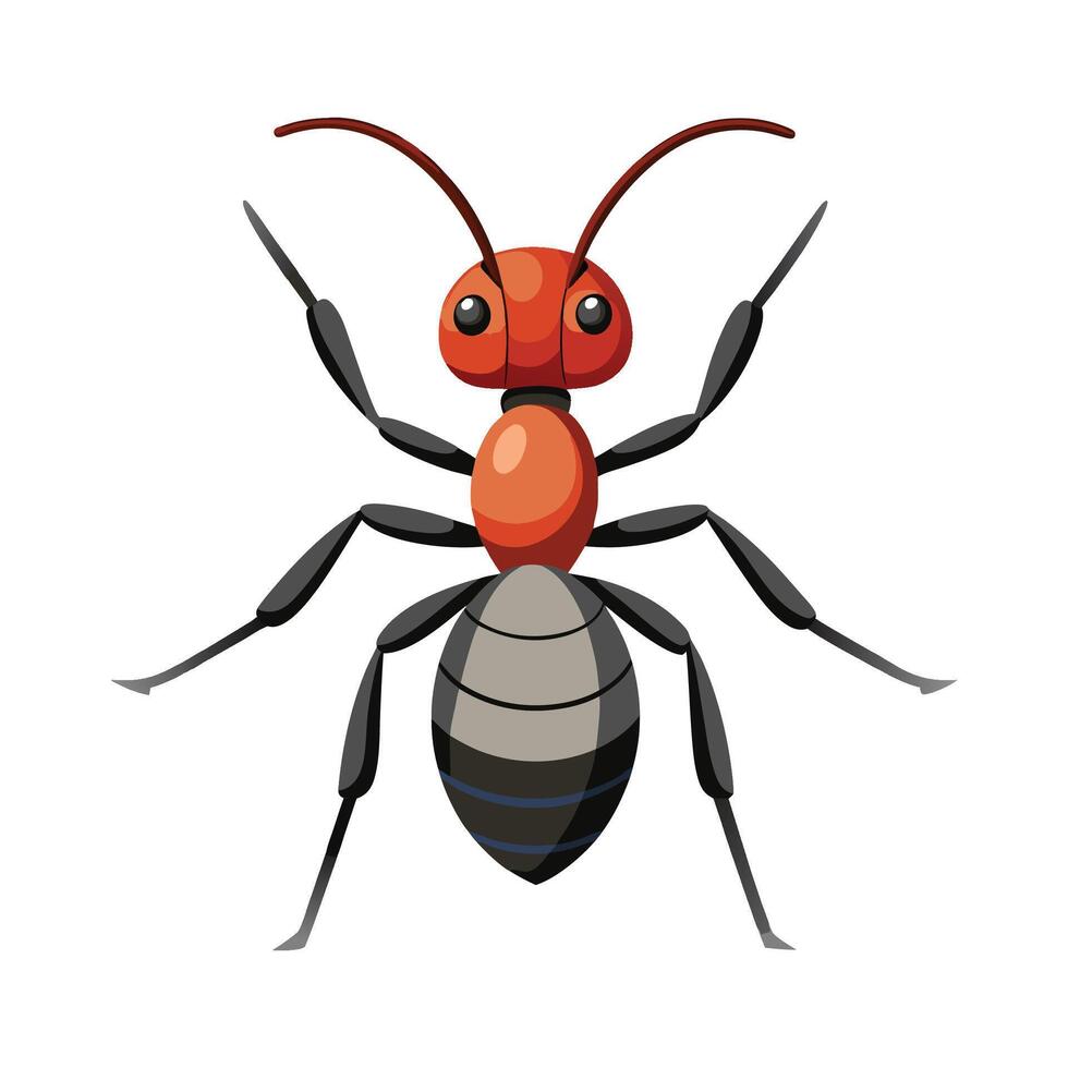 Colorful Ant Illustration For Educational Use vector