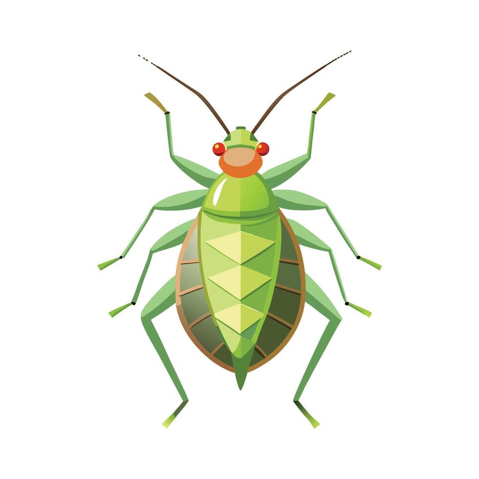 Visual Representation of Aphid Species for Education vector