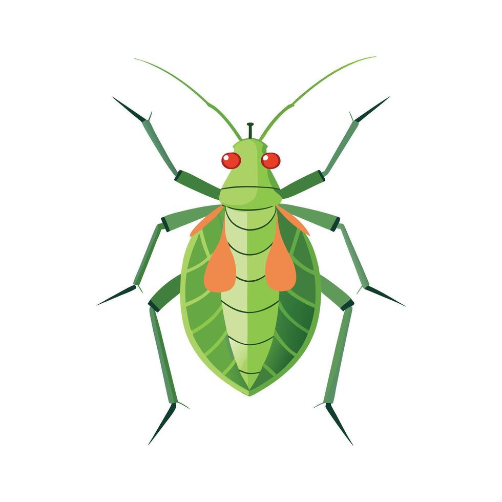 Diverse Aphid Species Illustrated for Learning vector