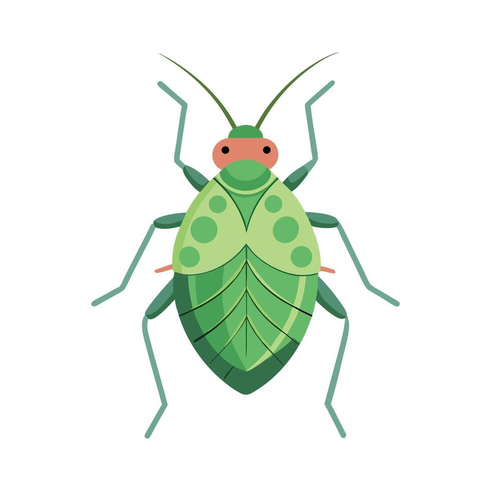 Interesting Aphid Illustration for Educational Use vector