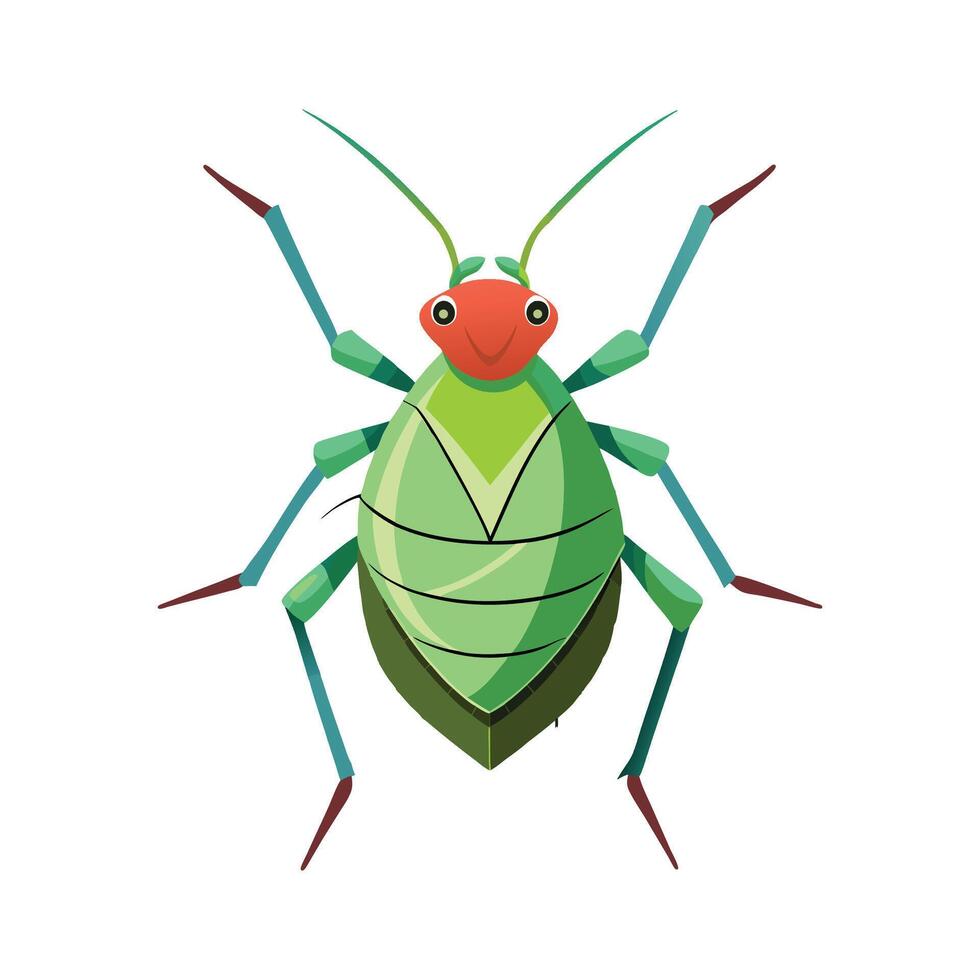 Illustrated Aphid Species for Classroom Activities vector