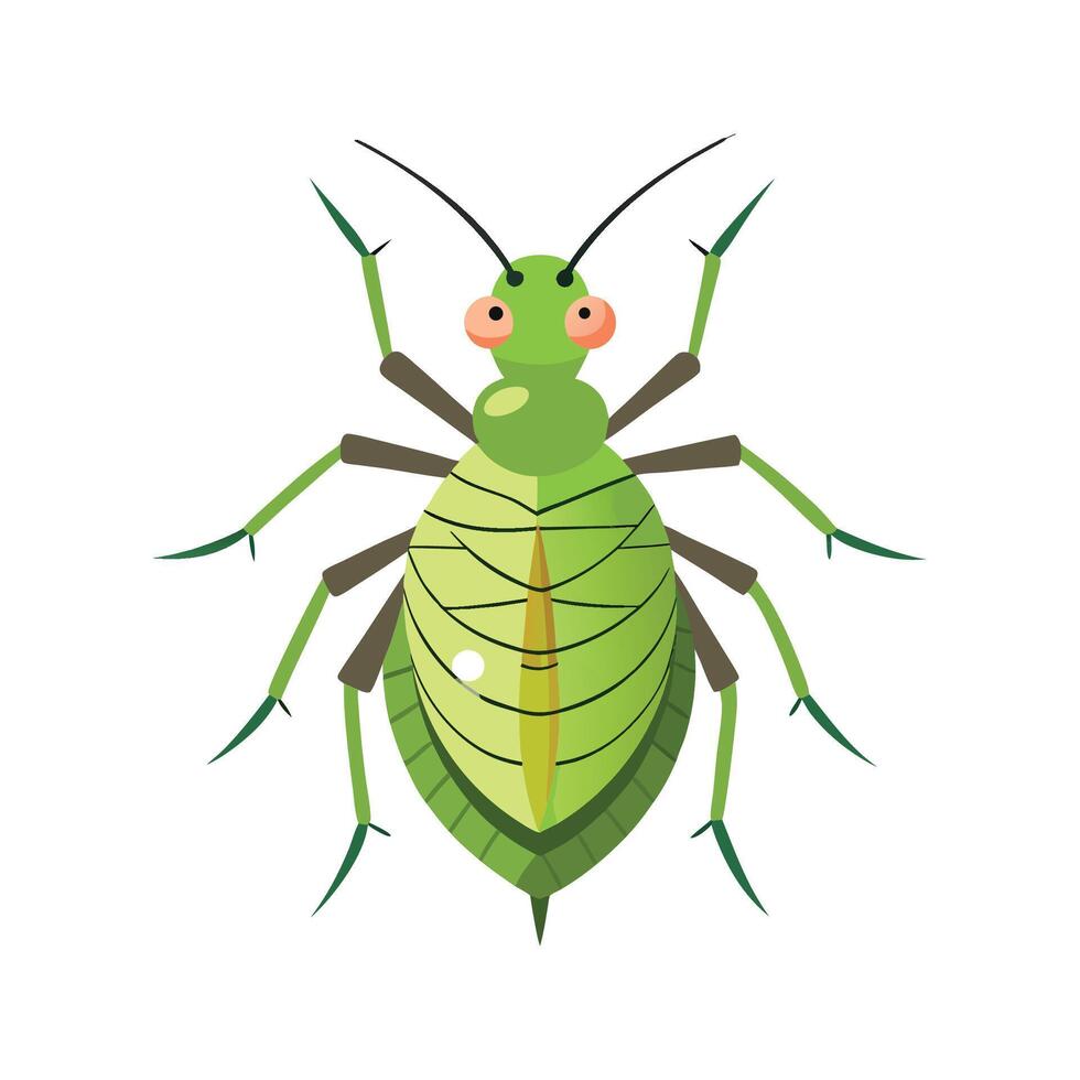 Illustration of Various Aphid Species for Kids vector