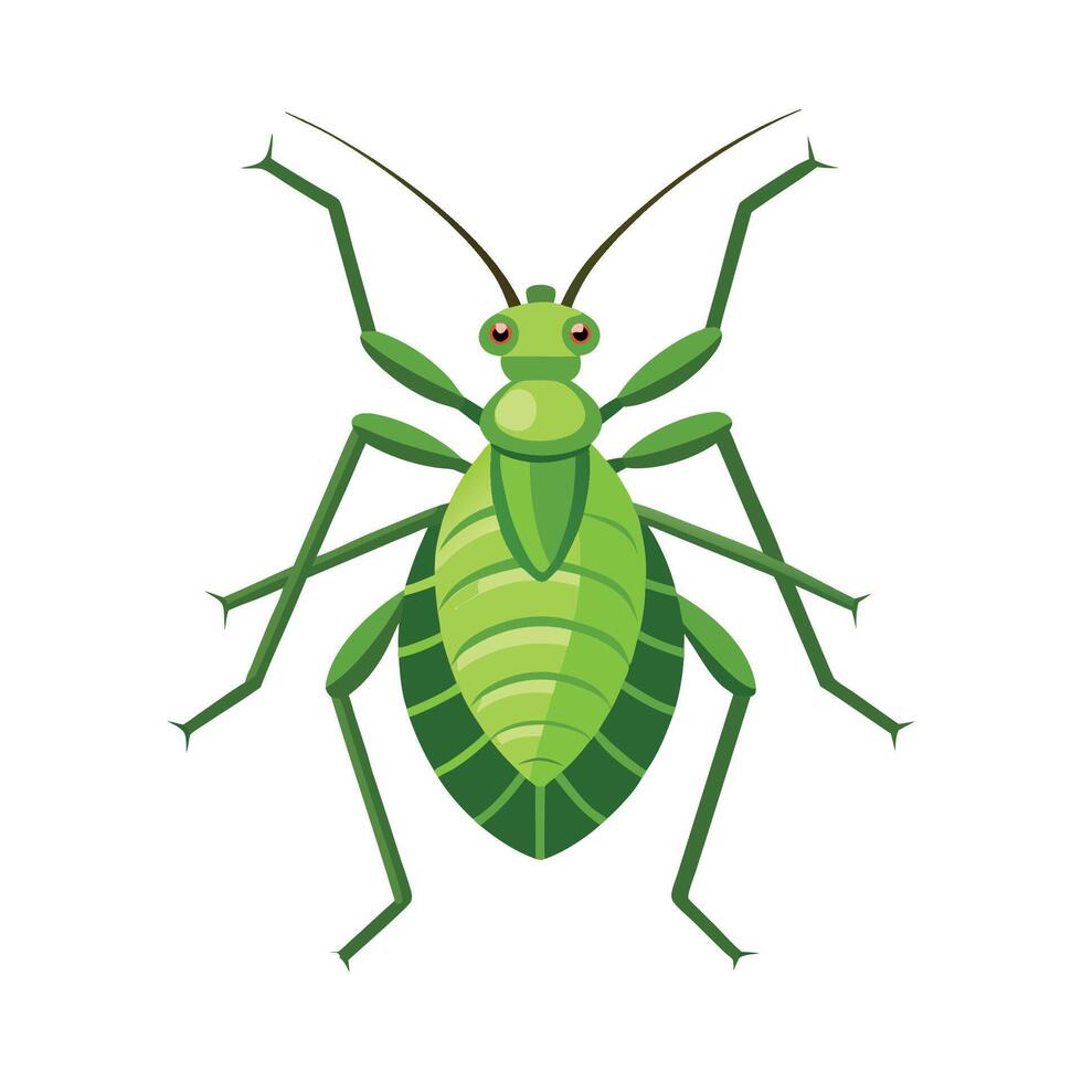 Engaging Aphid Illustration for Educational Materials vector