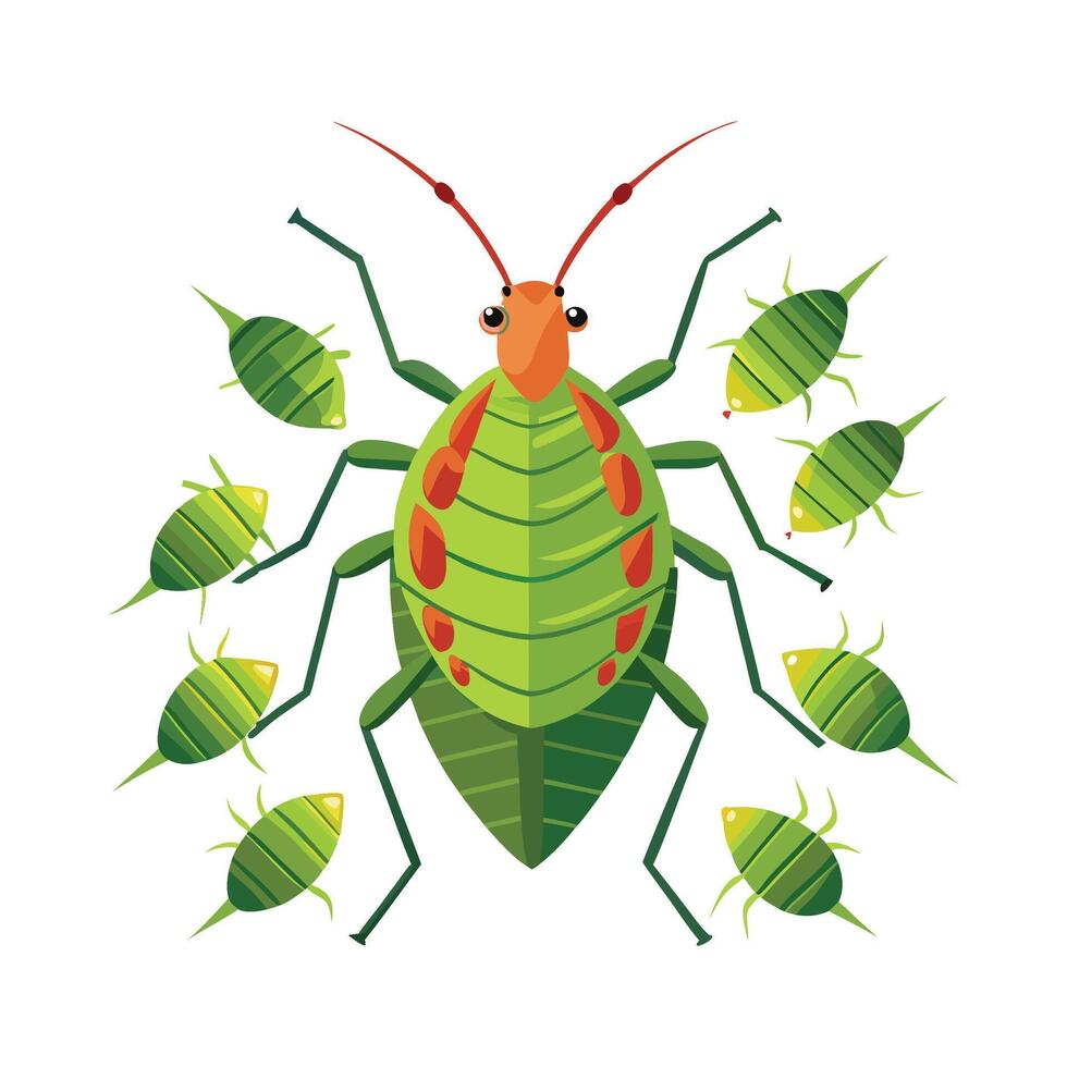 Aphids Educational Illustration for Classroom Use vector