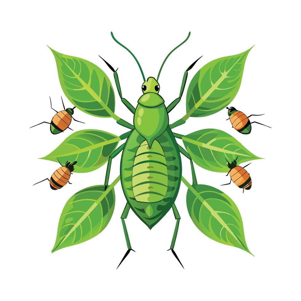 Colorful Aphids Illustration for Educational Projects vector