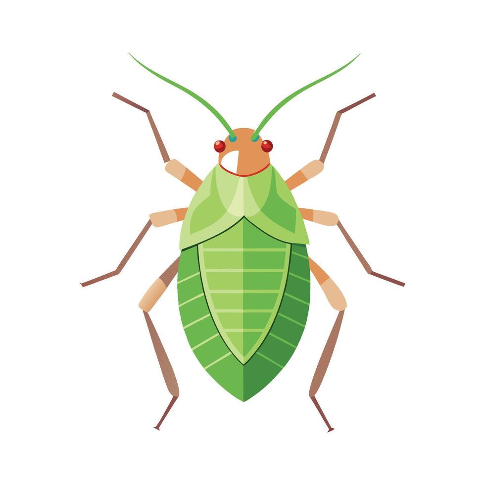 Fascinating Aphid Illustration for Science Projects vector