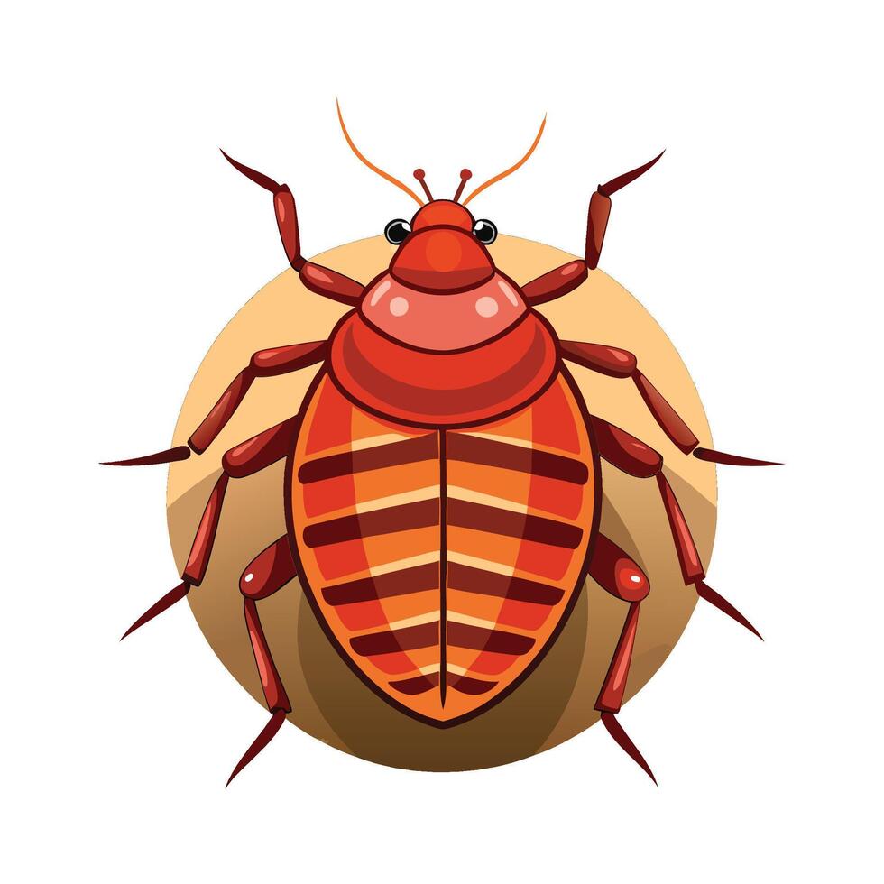 Educational Illustration of Bedbugs for Kids Learning vector