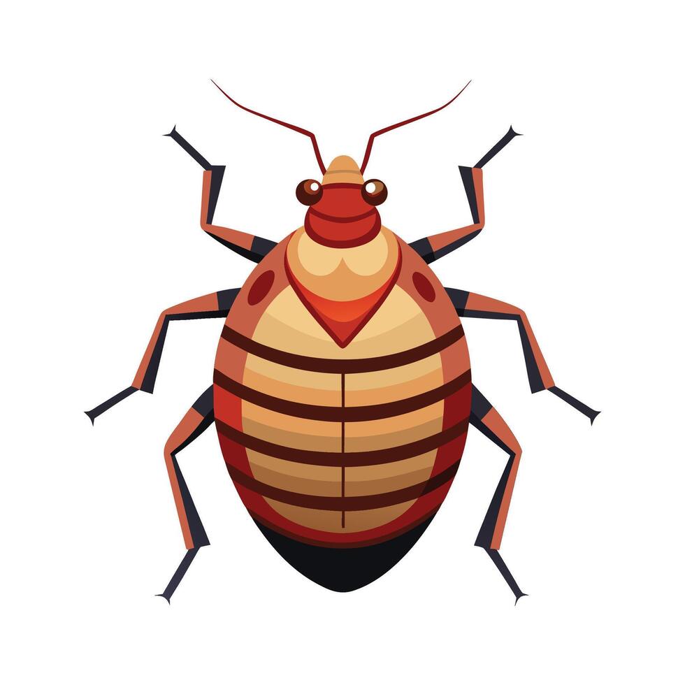 Illustration of Bedbugs for Educational Resources vector