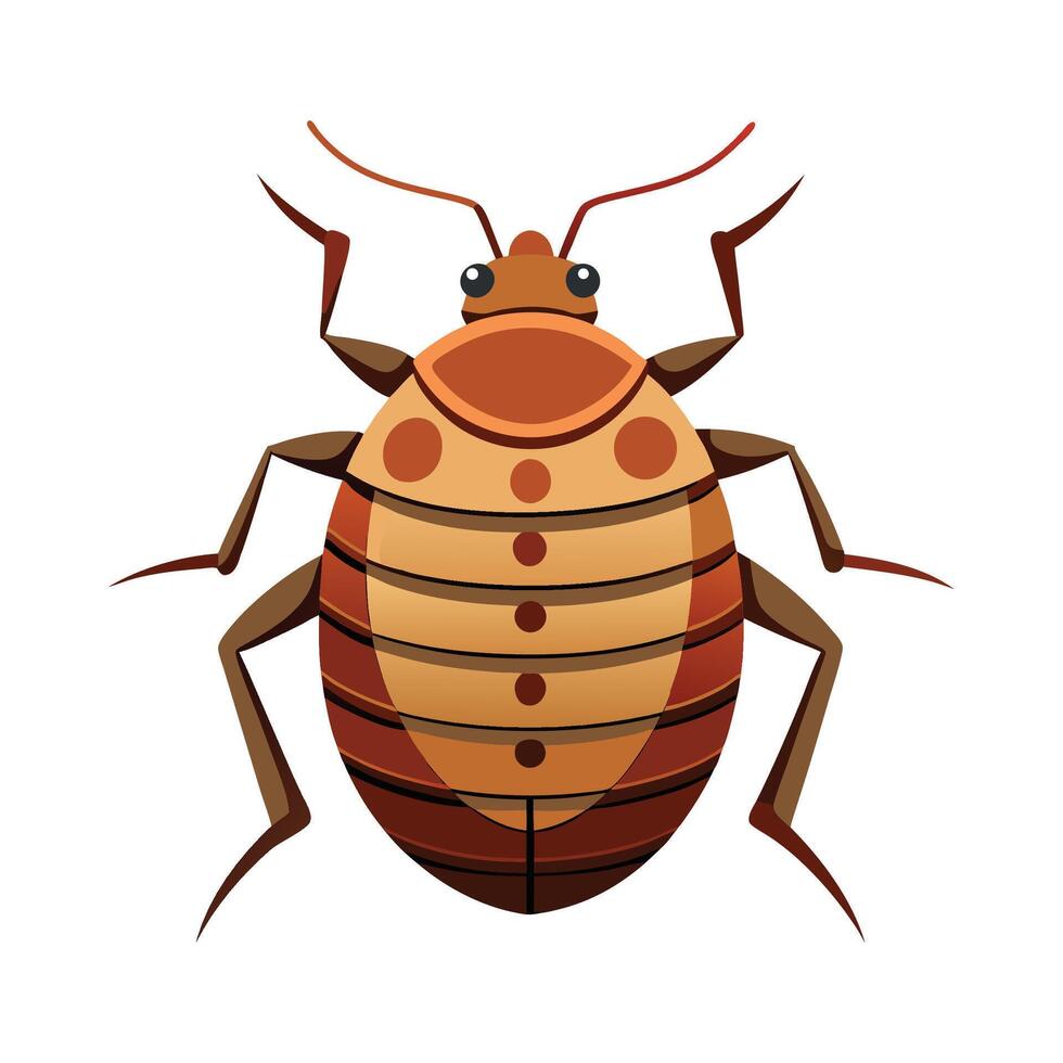 Colorful Bedbugs Illustration For Educational Content vector
