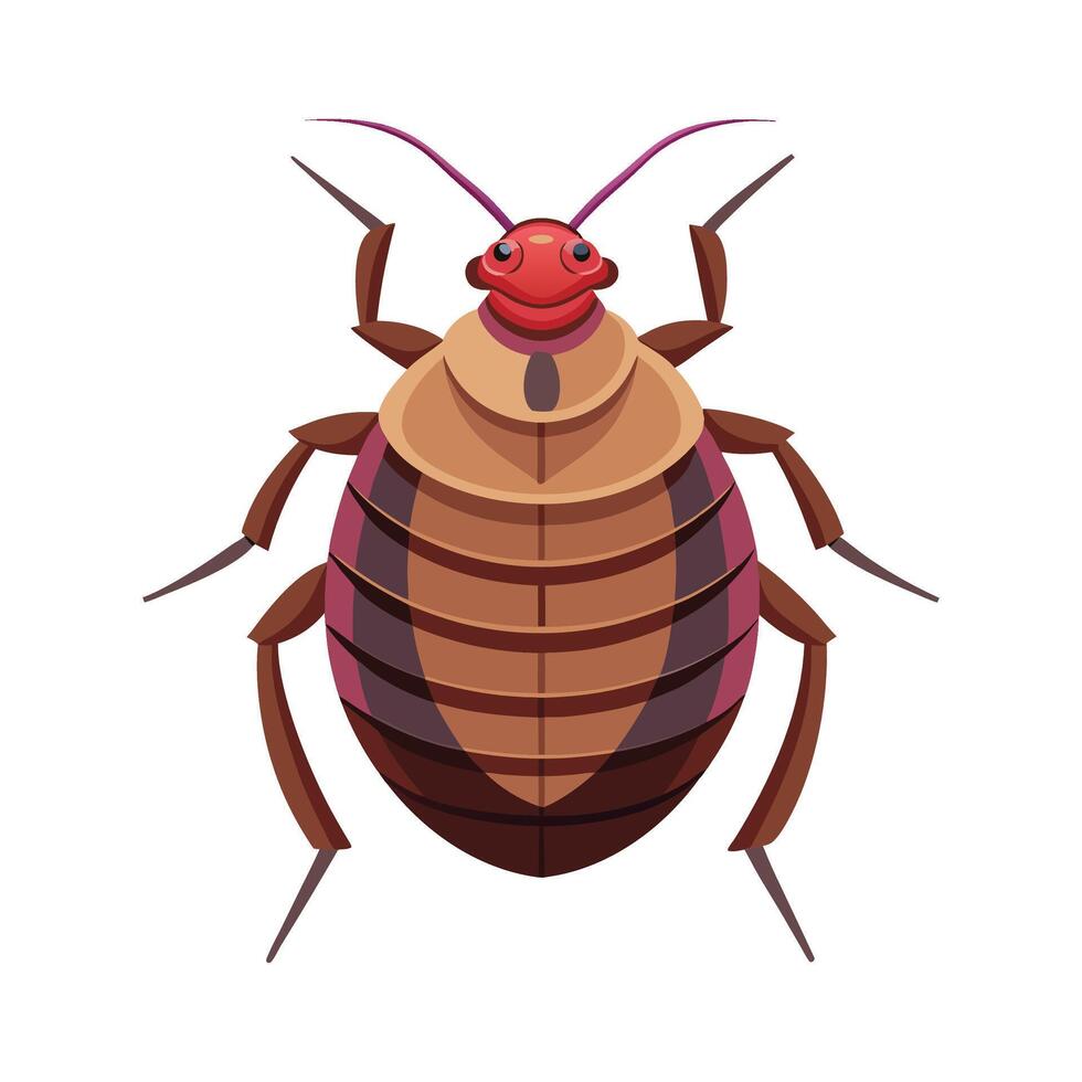 Bedbug Illustration for Learning About Pests vector
