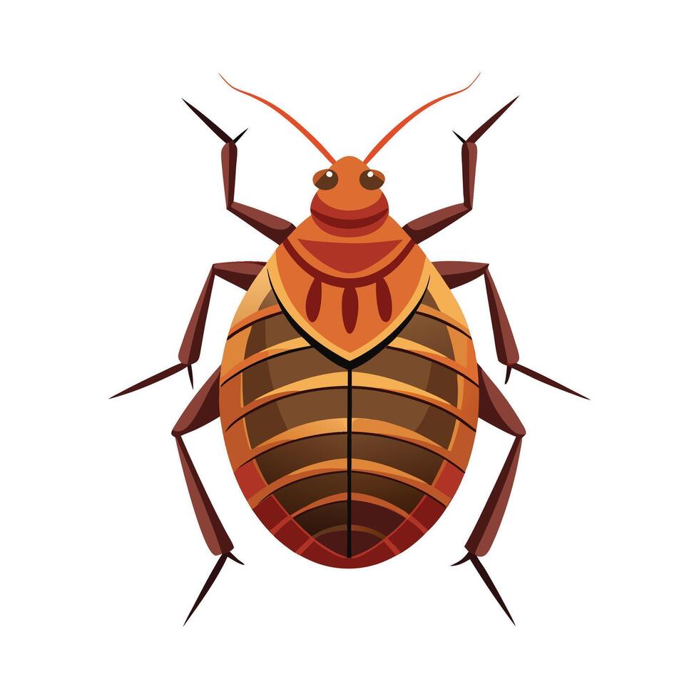 Illustrated Bedbug for Pest Education and Awareness vector