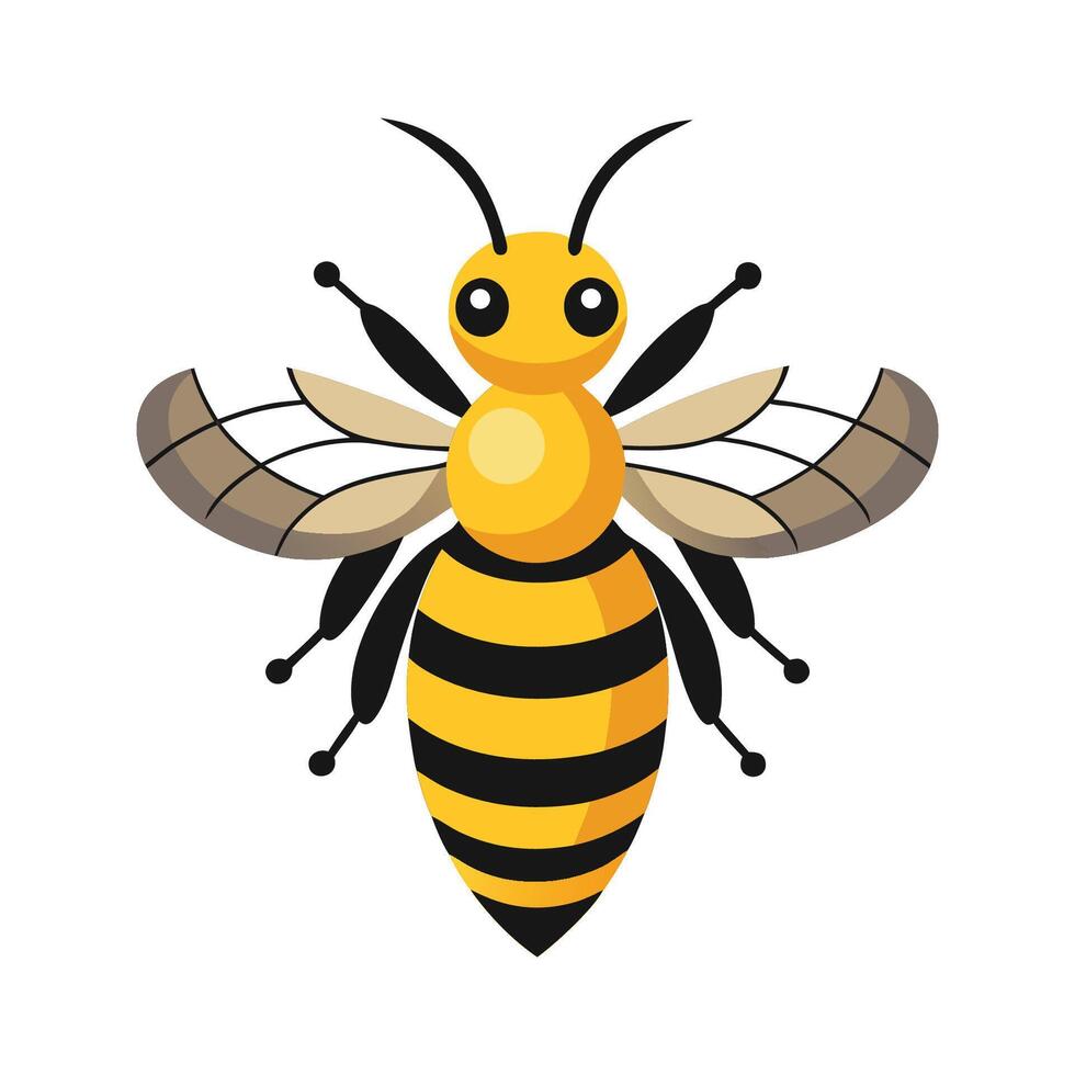 Detailed Bee Species Artistic Representation for Students vector