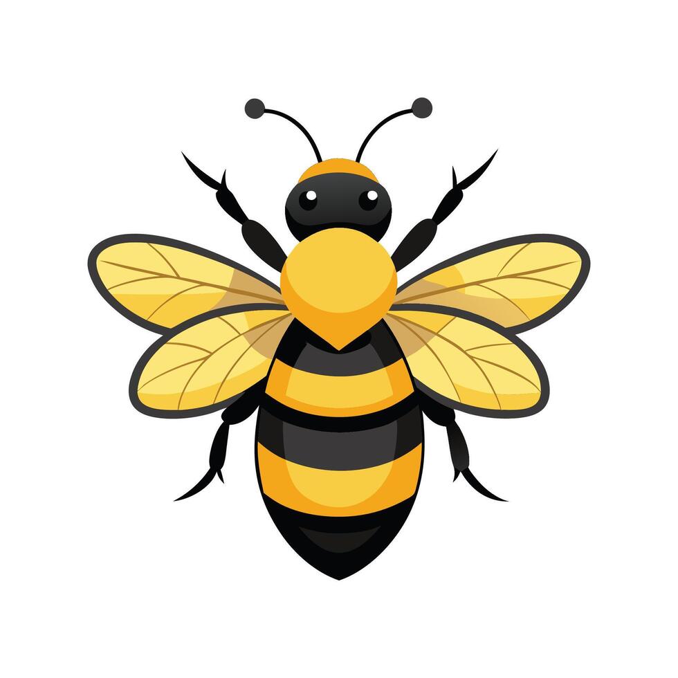 Educational Bumblebee Illustrations for Kids Learning vector