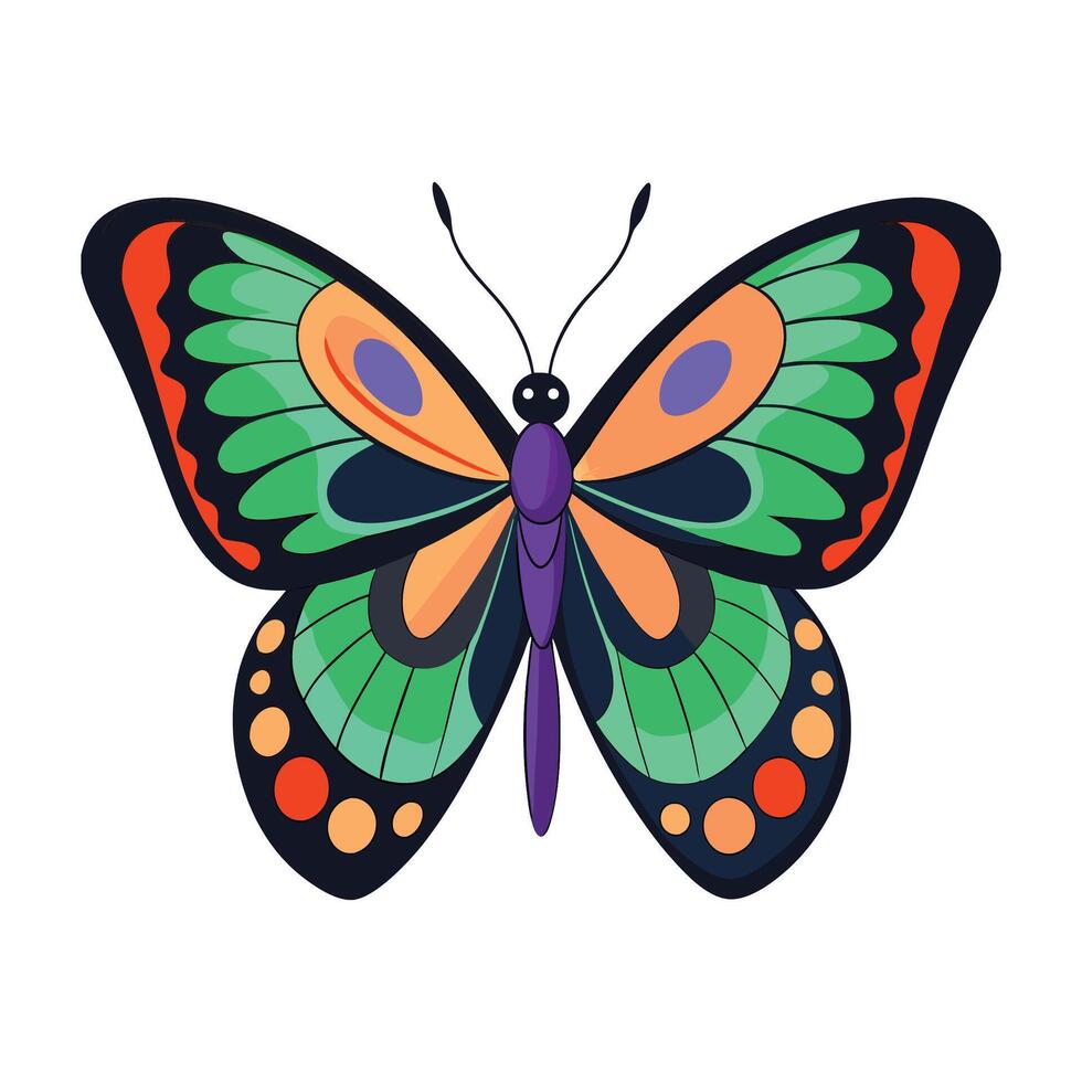 Butterflies Illustrated Collection for Kids Learning vector