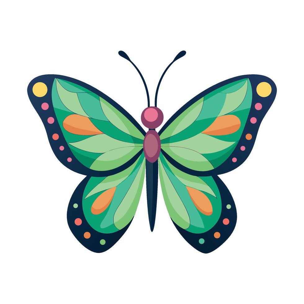 Butterflies Beautifully Illustrated for Education vector