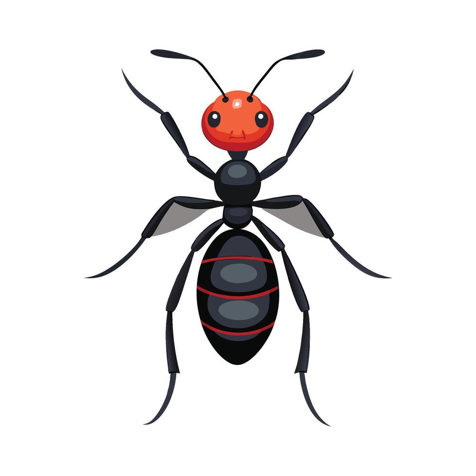Carpenter Ants Educational Illustration for Kids vector