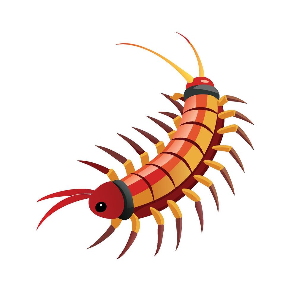 Cute Centipede Character Art vector
