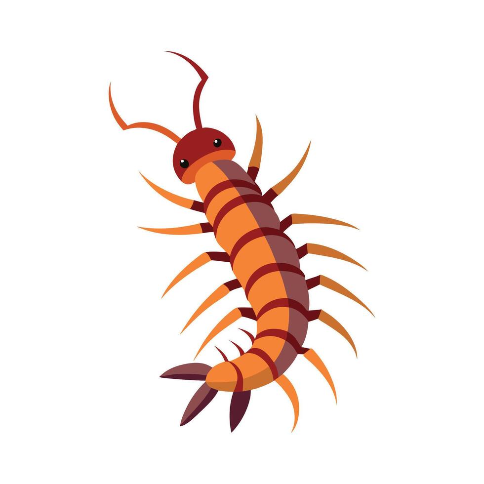 Charming Centipede in Natural Habitat vector