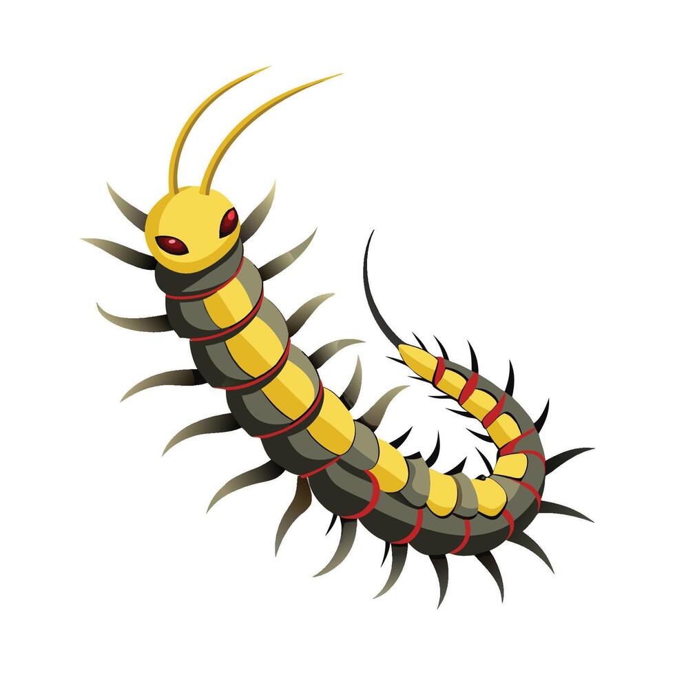 Graphic of a Colorful Centipede vector