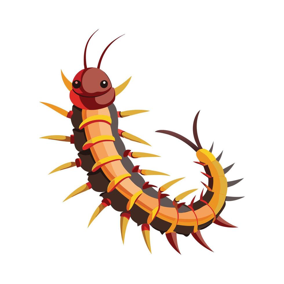 Detailed Centipede Art for Educational Use vector