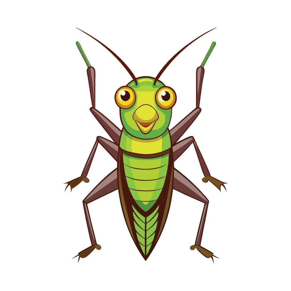 Illustration of a Cricket for Education vector