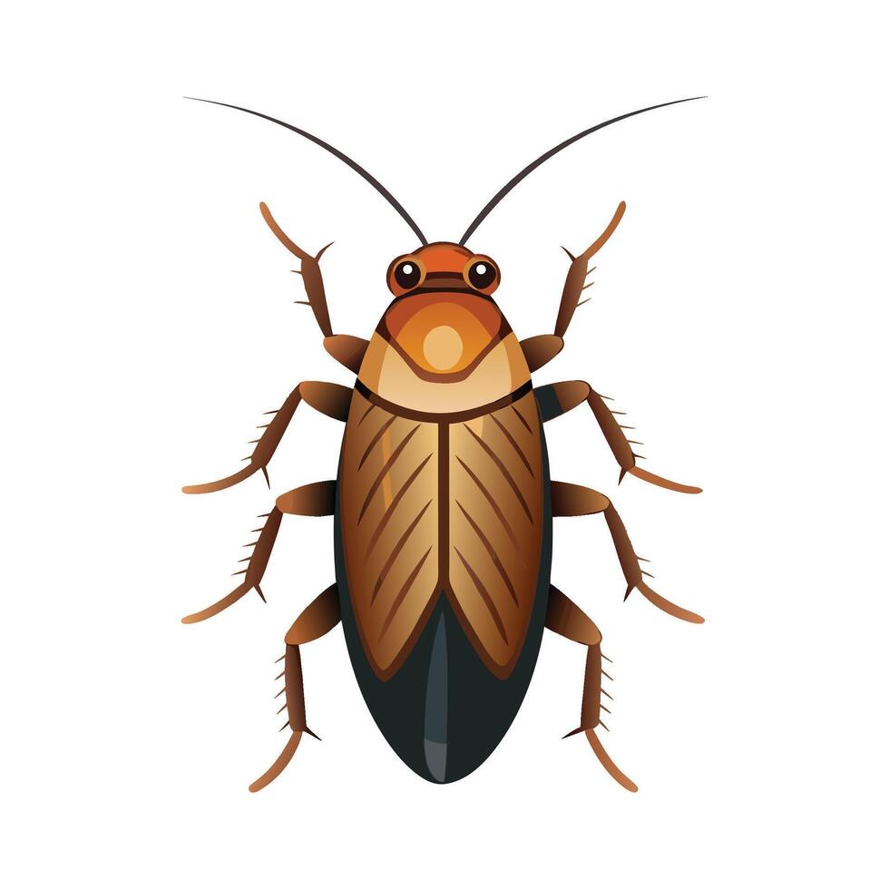 Detailed Cockroach Character Design vector