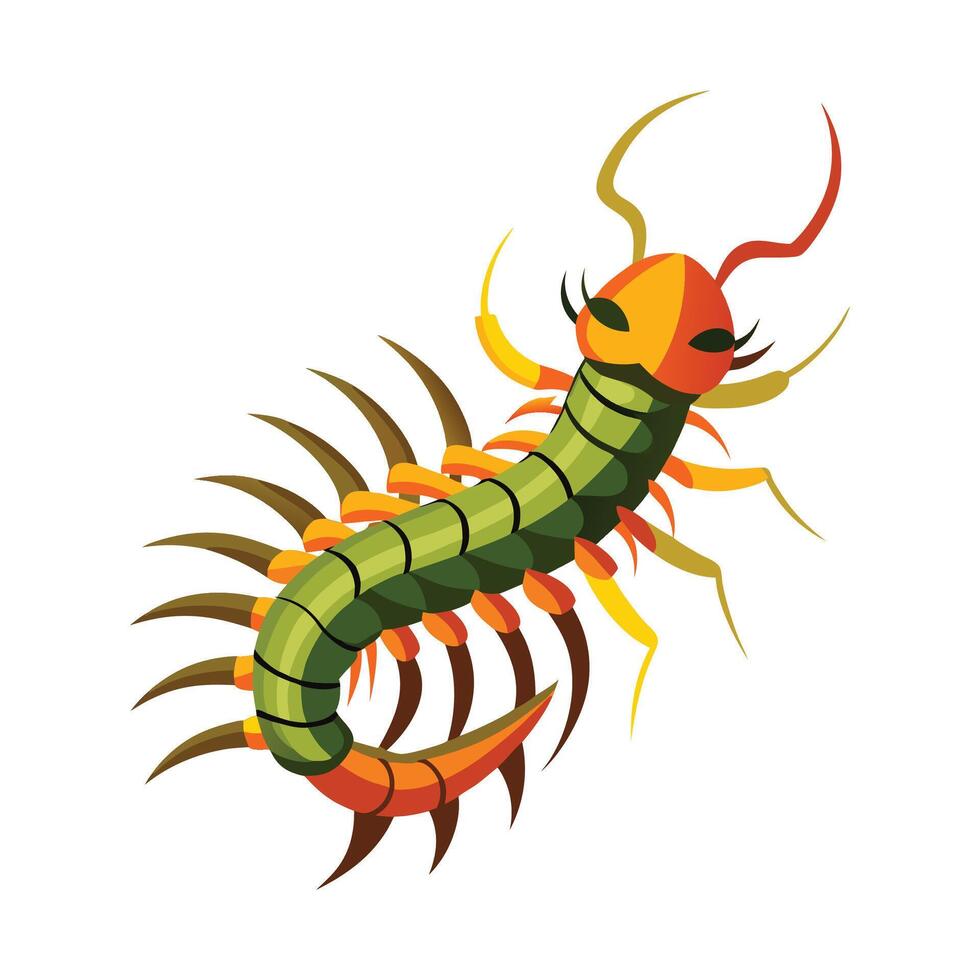 Colorful Centipedes in Nature vector