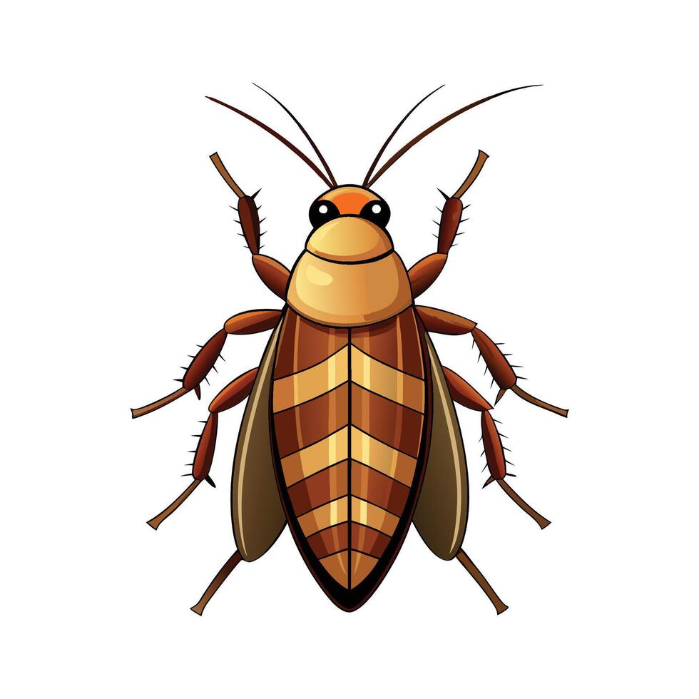 Realistic Cockroach for Creative Learning vector