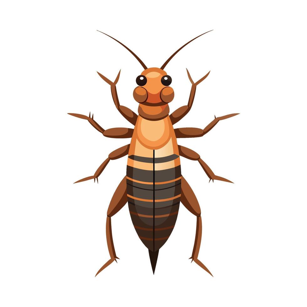 Stylized Earwig Graphic for Education vector