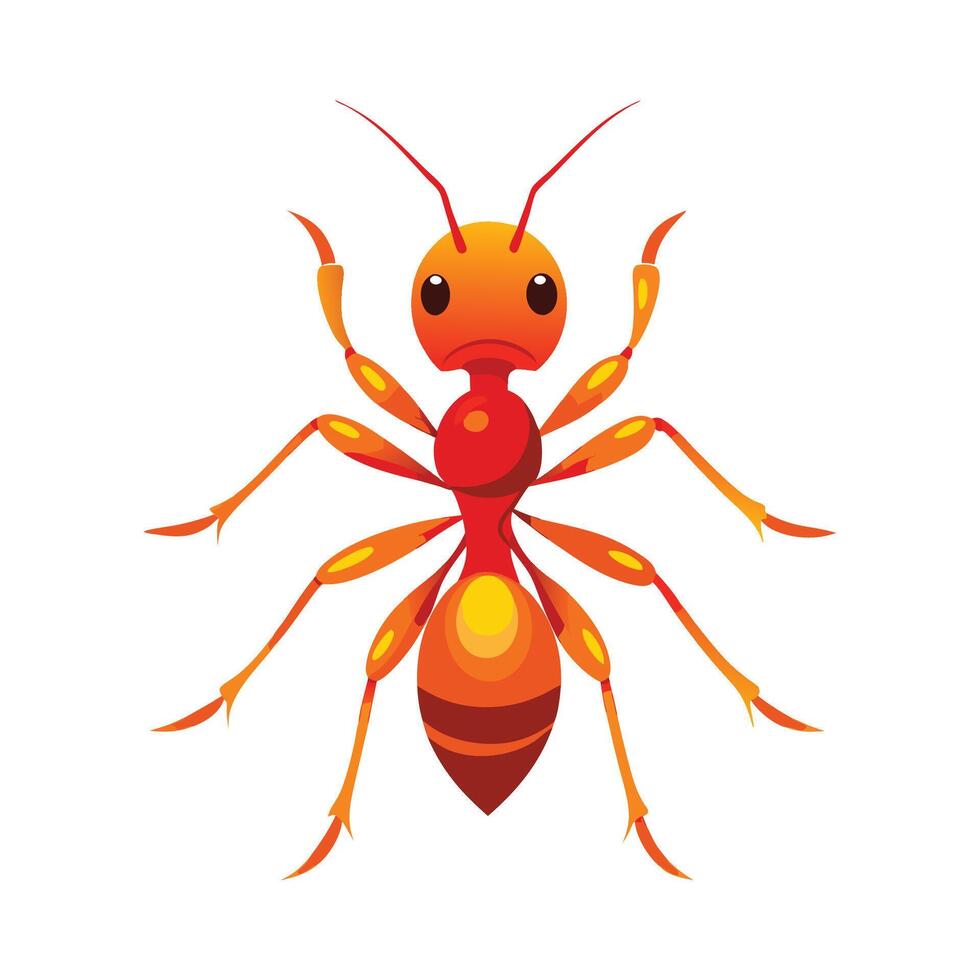 Charming Fire Ants on White Background vector