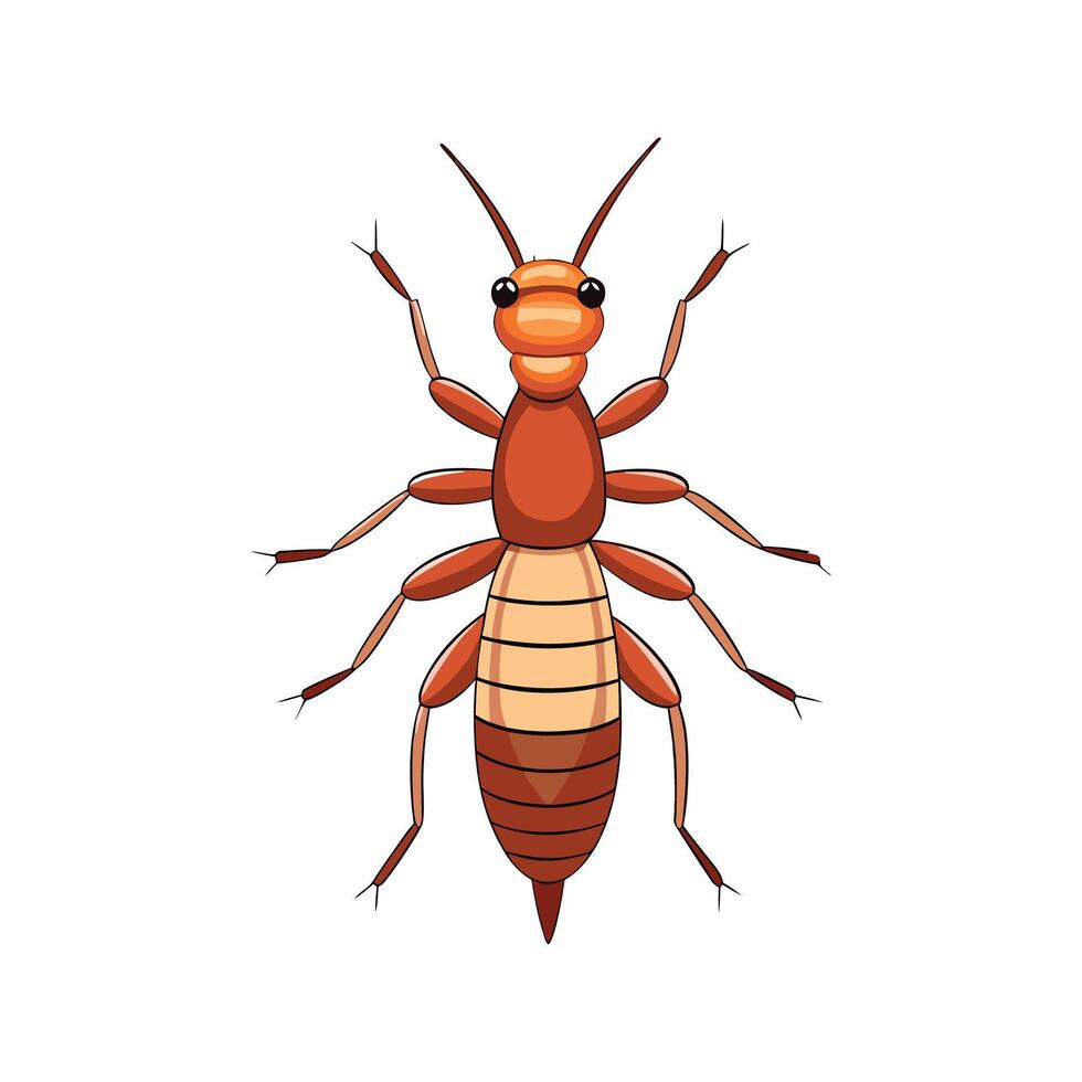 Illustration of Earwigs on a White Background vector