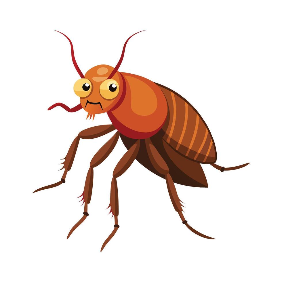 Flea Illustration on White Background vector