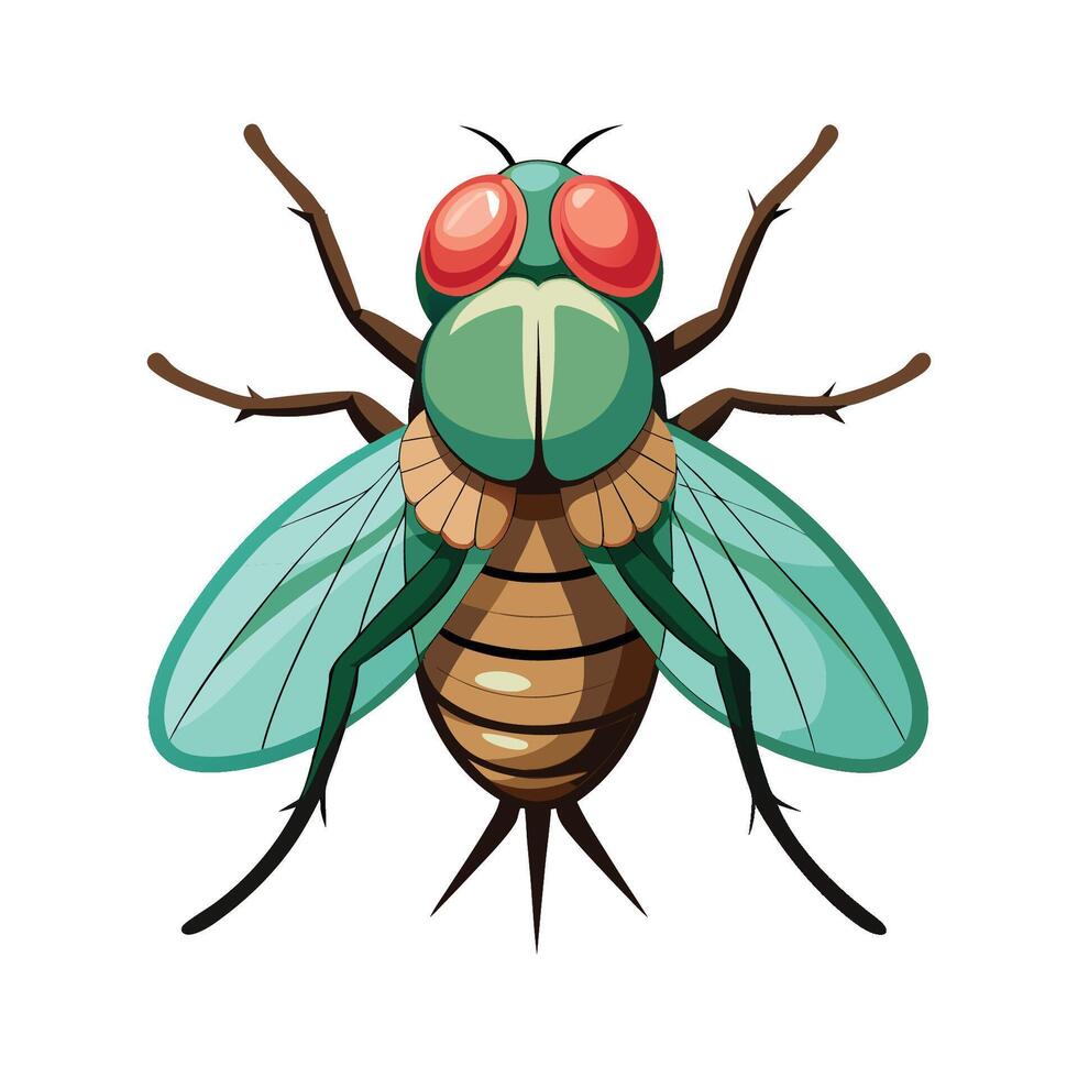 Charming Fly on a Flower Illustration vector