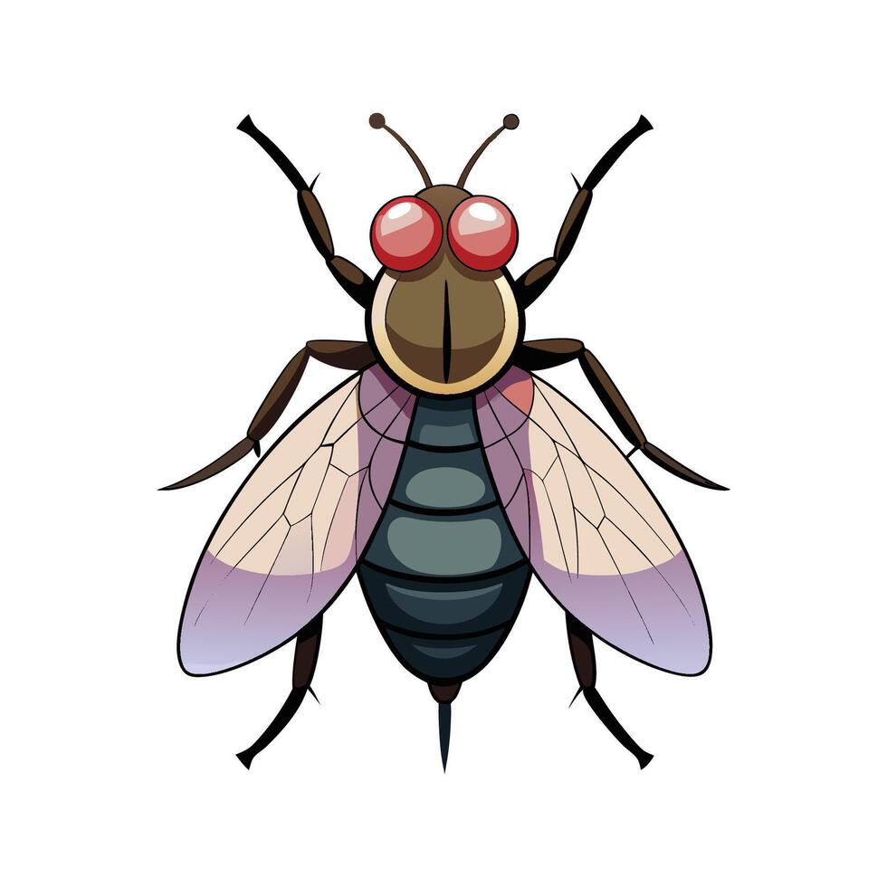 Charming Fly on a Flower vector