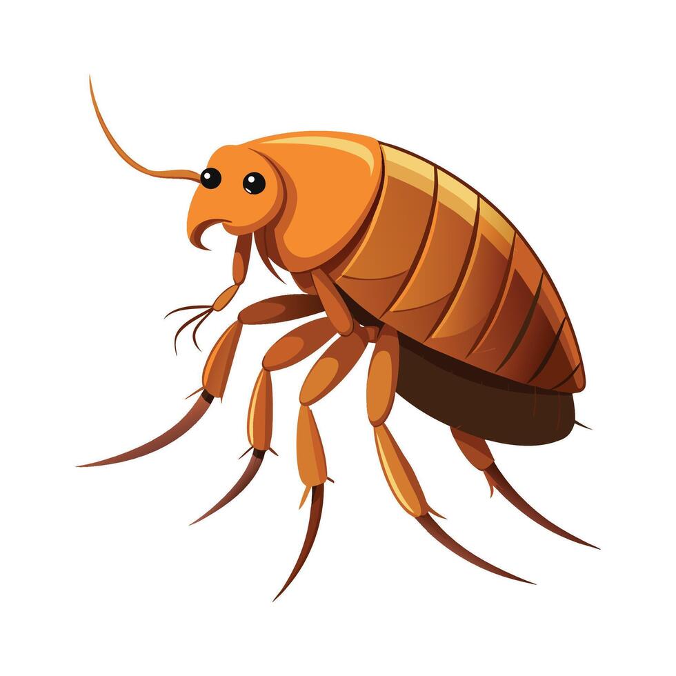 Cute Flea Illustration on White vector