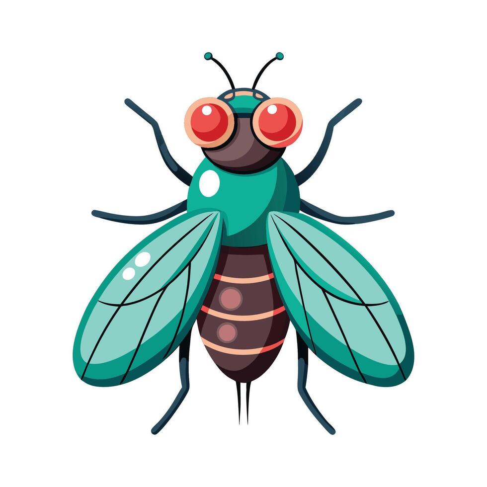 Charming Fly on a White Background vector