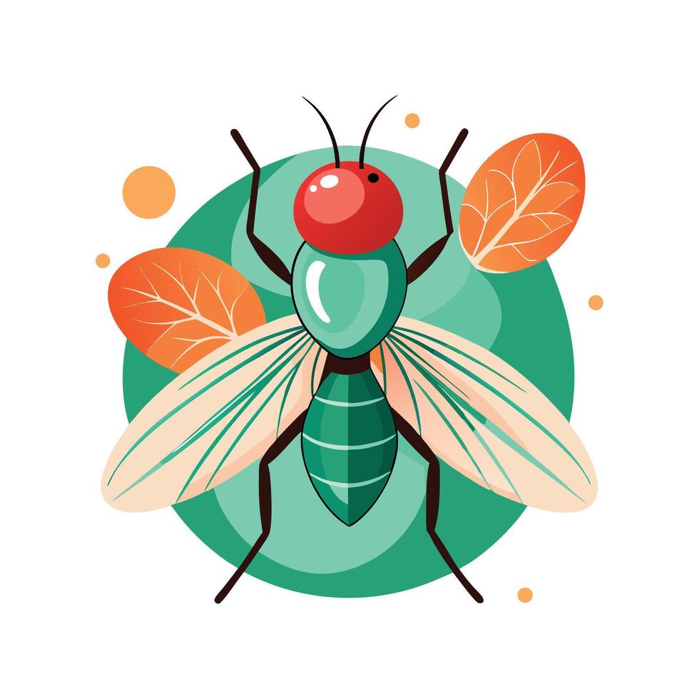 Charming Fruit Flies for Educational Use vector