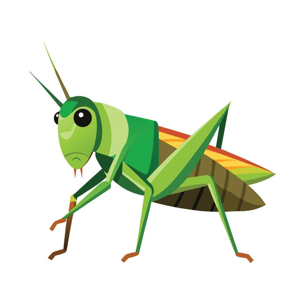 Illustration of Grasshopper in a Field vector