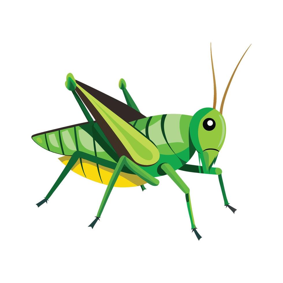 Colorful Grasshopper Illustration for Kids vector